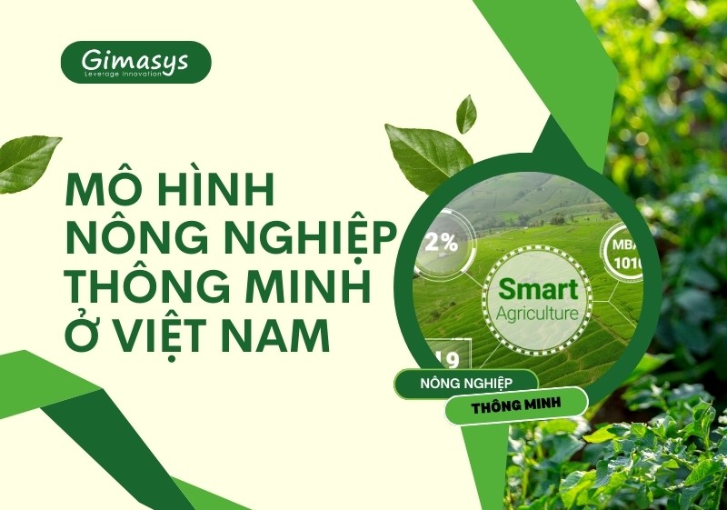 Khám phá mô hình nông nghiệp thông minh ở Việt Nam